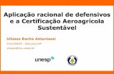 Ulisses Antuniassi - Aplicação racional de defensivos e a Certificação Aeroagrícola Sustentável
