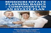 Missouri Estate Planning Basics: Components in an Estate Plan