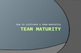 Team maturity - How to cultivate a team mentality