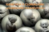 Genetica y-clonacionolll