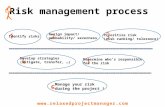 Process for risk management