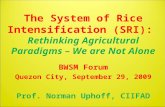 0961 The System of Rice Intensification (SRI):  Rethinking Agricultural Paradigms – We are Not Alone