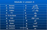Module 1 lesson 4  SOLT FAMILY