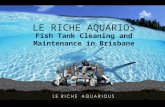 Le Riche Aquarios Fish Tank Cleaner | Aquarium Cleaner