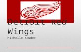 Detroit red wings ADV 420 4/13/15