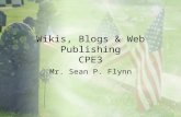 Wikis blogs Flynn