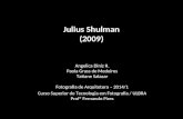 U_ARQ - 2009 Momentos Memoráveis - Julius Shulman