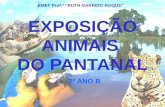 Exposição Animais do Pantanal - 2º ano B