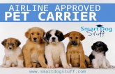 Airline pet carriers