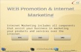 Web promotion & internet marketing by CSS Infotech