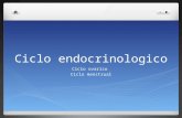 A ciclo endocrinologico 2012 1