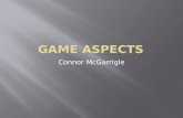 Game aspects