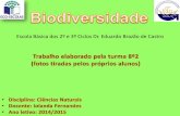 Biodiversidade 8º2