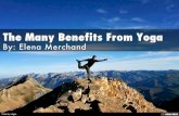 The Many Benefits From Yoga
