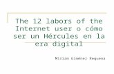 The 12 labors of the Internet User