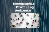 Audience Profiling