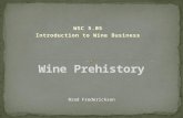 Wine prehistory presentation