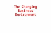 The changing business environment   manager's perspective