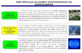 Acciones sustentables en Guadalajara
