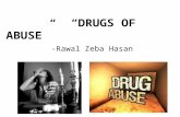 Abuse drugs-Raval Zeba