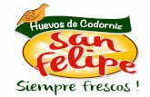 Presentación agrícola San Felipe (codornices)