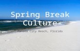 Spring Break Culture