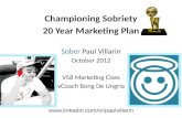 20 year marketing plan   paul villarin