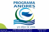 Programa Andres Institucional