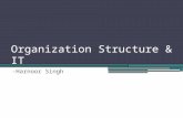 Organization structure & IT