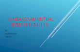 Kmbakonam mutual benefit fund ltd