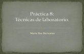 Técnicas de laboratorio