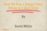 How To Stop a Puppy From Biting in Just A Few Steps