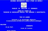 Carlo di Lorenzo Web 2.0 in ambito santario & radiologico Carlo di Lorenzo