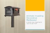 Animals Love Decorated Mailboxes
