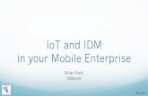 CIS 2015 IoT and IDM  in your Mobile Enterprise - Brian Katz