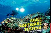 Brief Introduction to Agile Software Testing