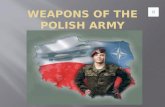 Polish Army Weapons, Poland
