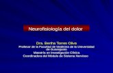 Neurofisiologia del dolor 2 (pp tshare)