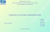 Presentación de informe final elementos claves para un porvenir exitoso (luz)