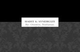 Habit 6 Synergize (Ashwin's)