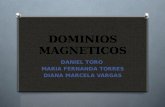 Dominios magneticos