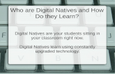 The Digital Native Learner