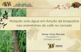 Omar rocha - palestra IX Simpósio de Pesquisa dos Cafés do Brasil