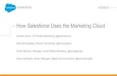How Salesforce Uses the Marketing Cloud
