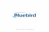 [Company profile] Bluebird Soft inc