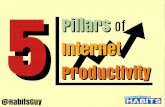 5 Pillars of Internet Productivity