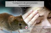 Campaña prevención Hantavirus