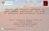 Esa13  spatial and temporal synchrony in small mammal populations