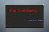 The oral cavity