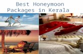 Honeymoon Packages in Kerala for Ever Romantic Days in Life